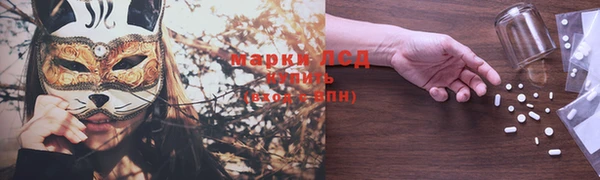 шишки Арсеньев