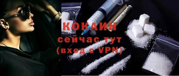 шишки Арсеньев