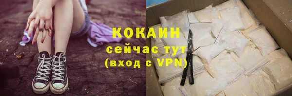 шишки Арсеньев