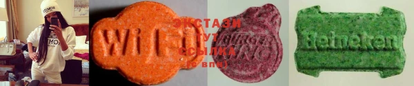 шишки Арсеньев