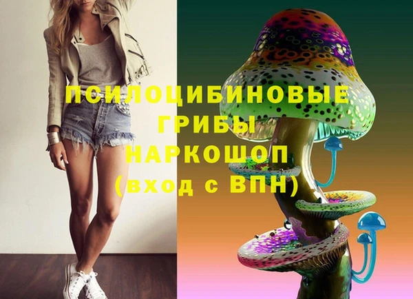 винт Балахна
