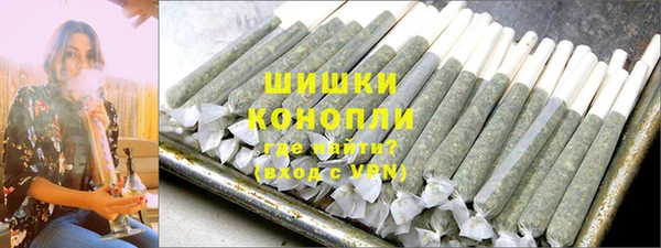 шишки Арсеньев