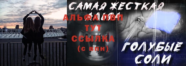 шишки Арсеньев